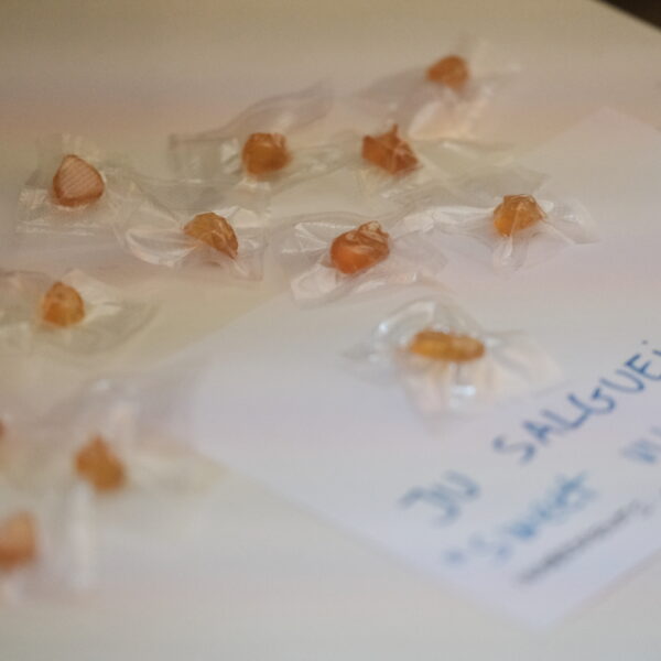 Little home made candies, each one wraped in transparent plastic. The candies have different shapes of pussies: diverse sizes, hromonated, aslo includdes buttholes (queer inclsuion of genitalia) All candies are over a white table and it has writen on it ''take one candy! sweet vulvas by Ju Salgueiro.