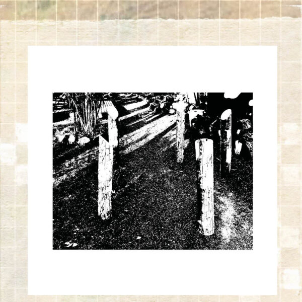 2nd-pic-aleksihäivälä